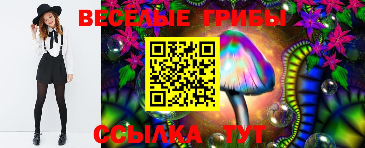 Галлюциногенные грибы мухоморы Можайск